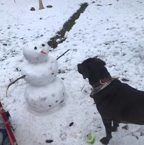 Meet your Posher, Rebecca